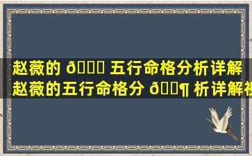 赵薇的 💐 五行命格分析详解「赵薇的五行命格分 🐶 析详解视频」